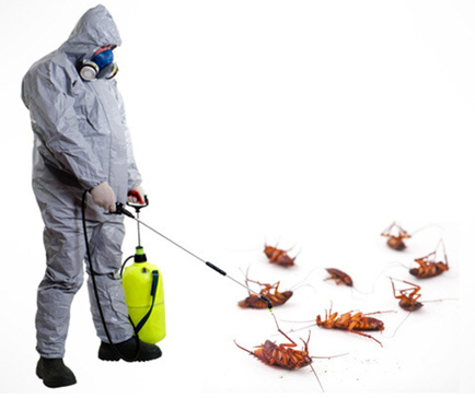 Control de todo tipo de plagas